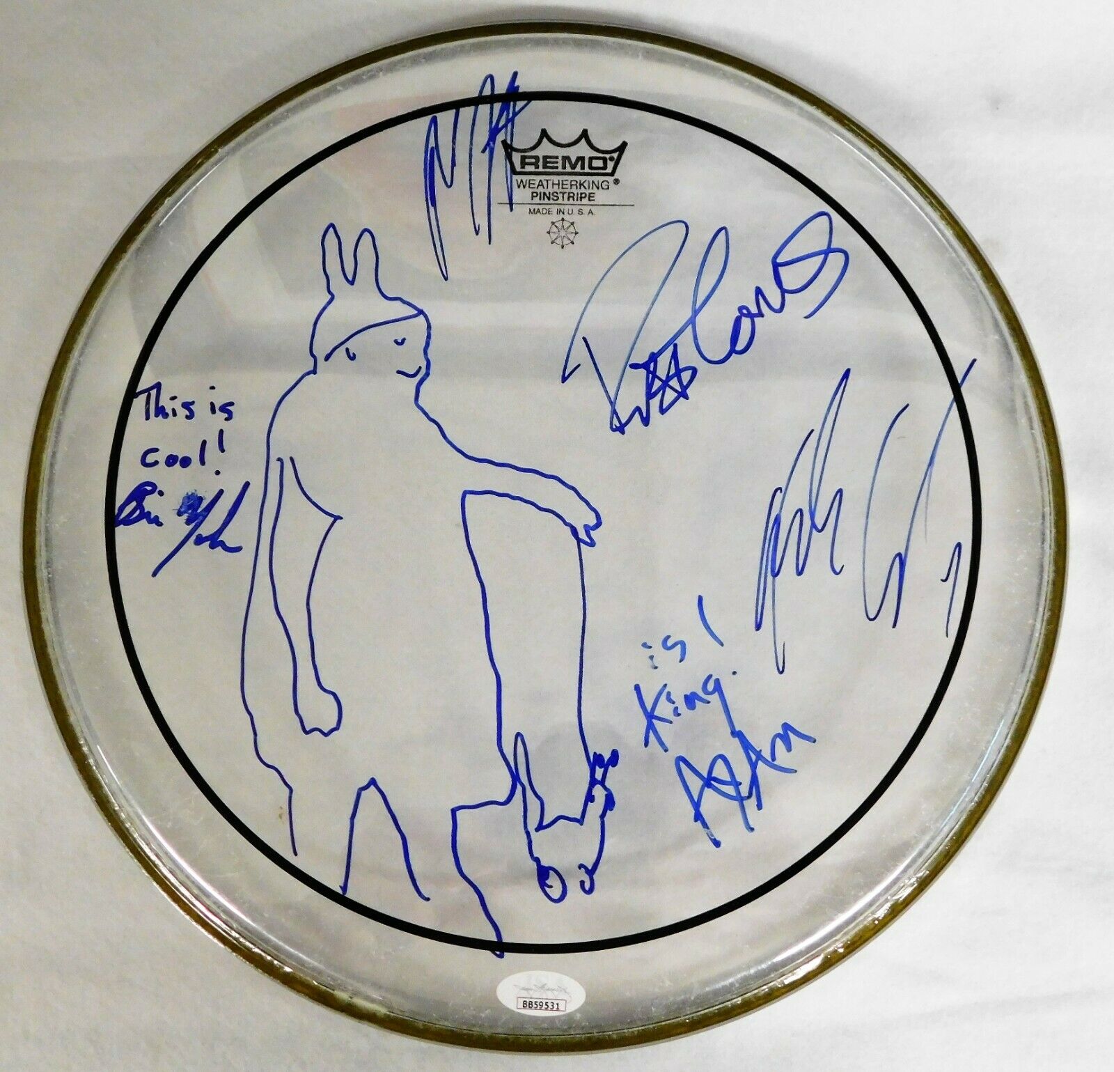 Matchbox 20 Rob Thomas And Group Signed Remo 12 Inch Drumhead Jsa Authenticated